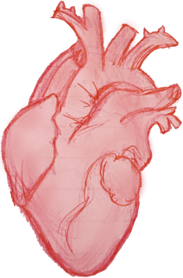 humanheart
